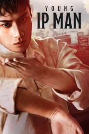 Young Ip Man: Crisis Time (2020) Hindi Dubbed